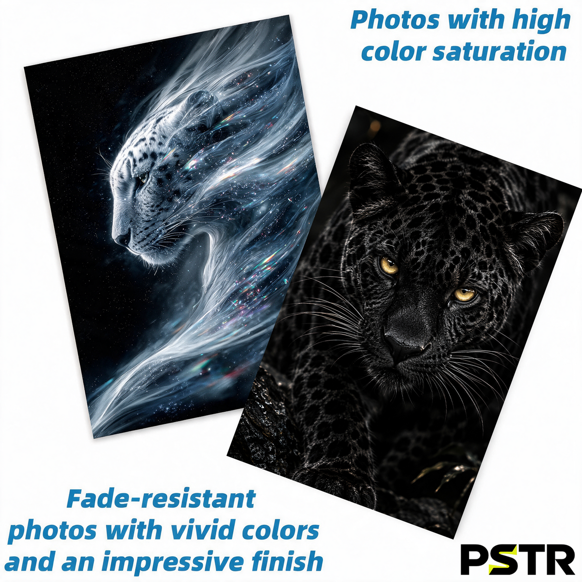 Shadow Hunter | Black Jaguar Panther Poster | Golden Eyes Wildlife Wall Art | 11x17 Print